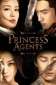 Princess Agents (2017)