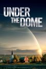 Under the Dome (2013)