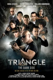 Triangle: The Dark Side (2016)